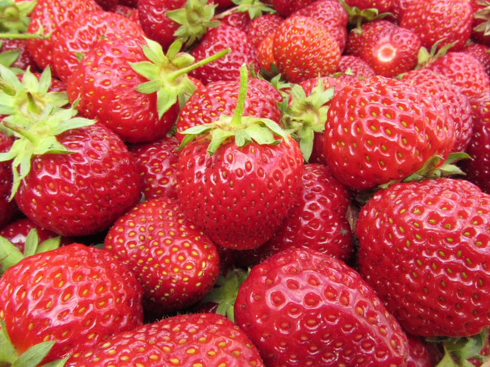 strawberry-763369_960_720